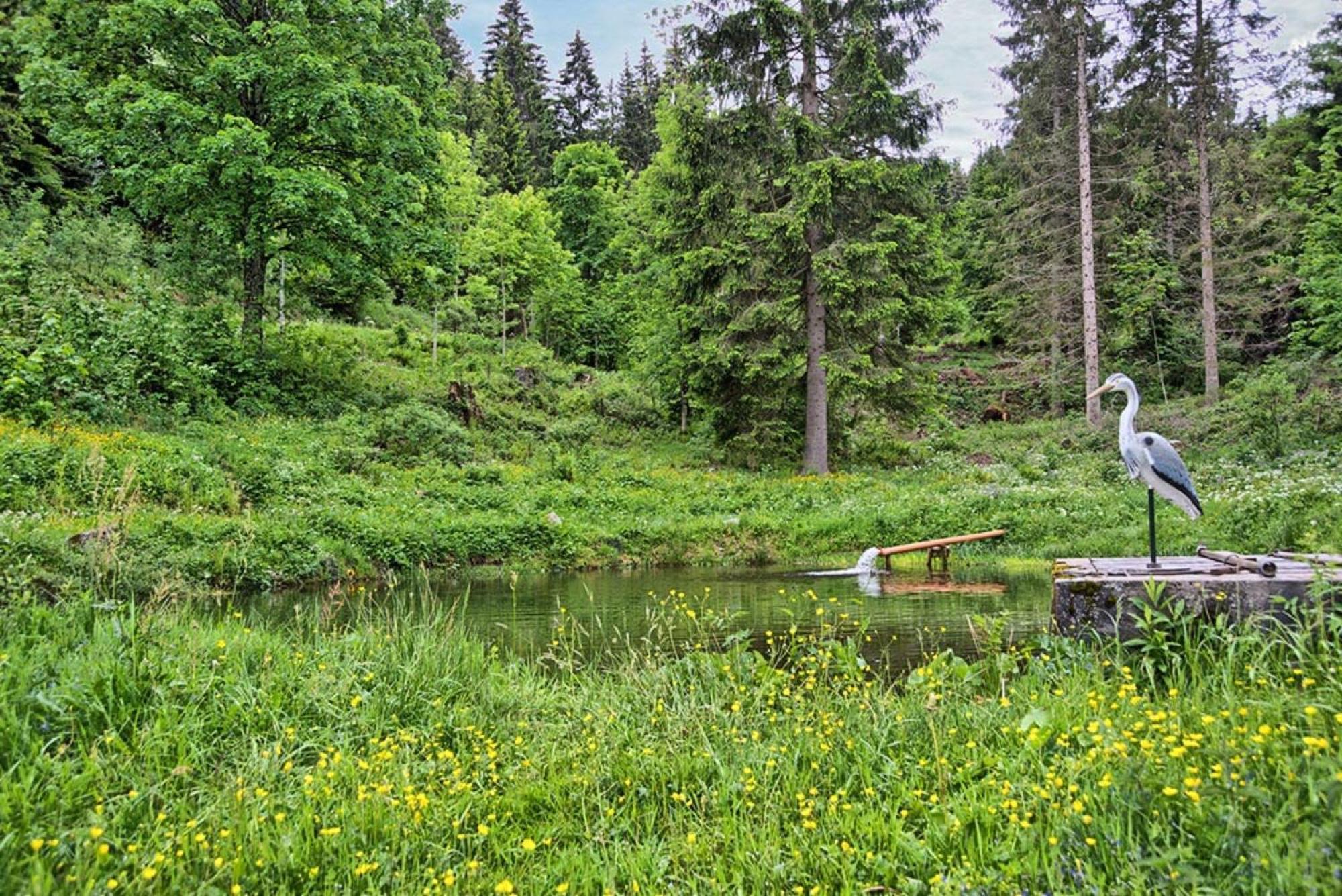Ferienhaus Esche Hinterzarten Exterior photo