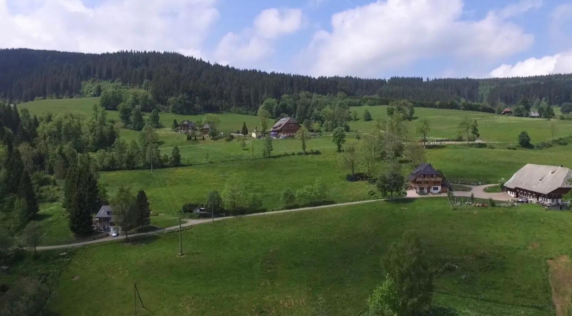Ferienhaus Esche Hinterzarten Exterior photo