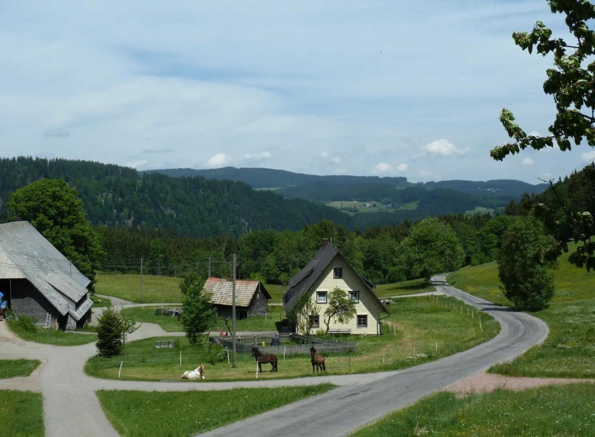 Ferienhaus Esche Hinterzarten Exterior photo